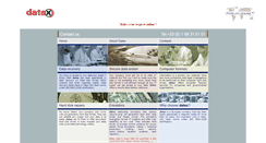 Desktop Screenshot of datexdsm.com